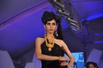 at Style statement jewellery show in Lalit Hotel, Mumbai on 5th Jan 2013 (236).JPG